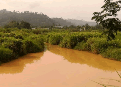 60 percent of Ghana's water bodies polluted