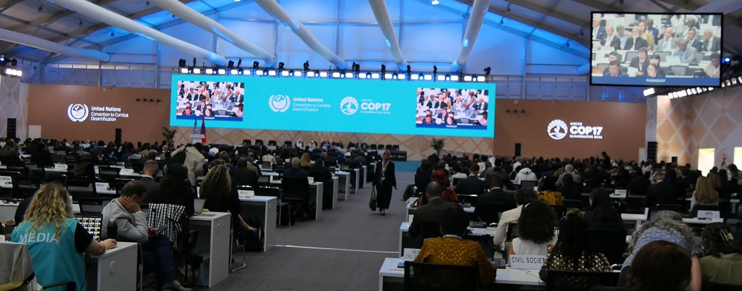 AfDB Calls for Greater Investment in Land Restoration