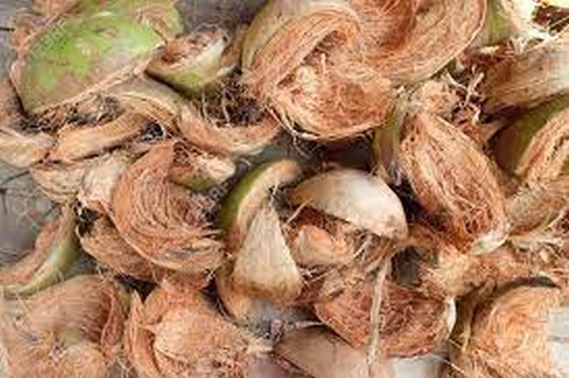 Coconut Seller Fined GHS 360 for Drain Dumping