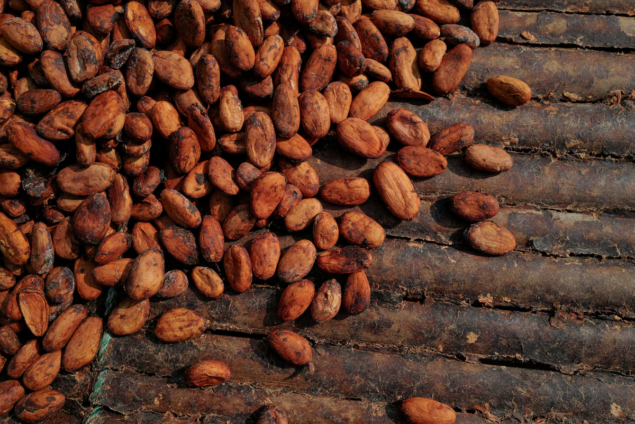 Ghana cocoa output to drop 16% next season