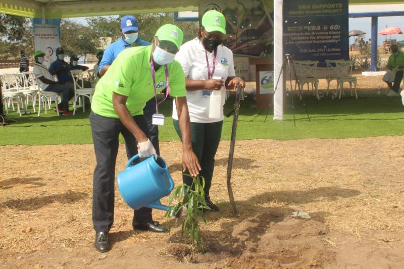 Ghana farmers plant 1.3 million trees in 2025