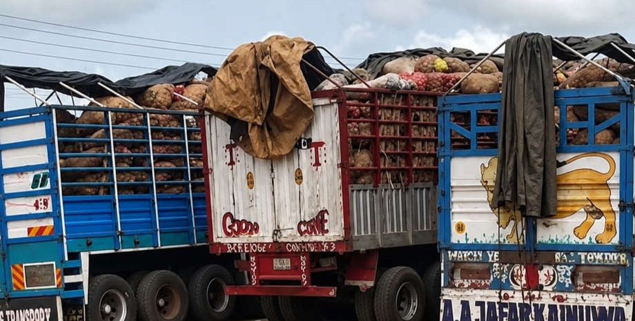 Ghana-Nigeria Onion Trade Resumes After Dispute Resolution