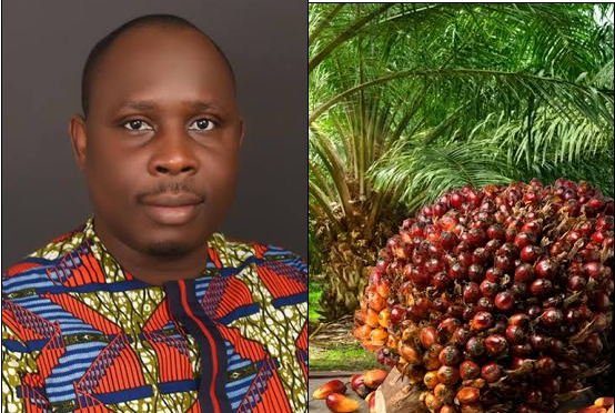 Ghana Faces 150,000-Tonne Palm Oil Shortfall Annually