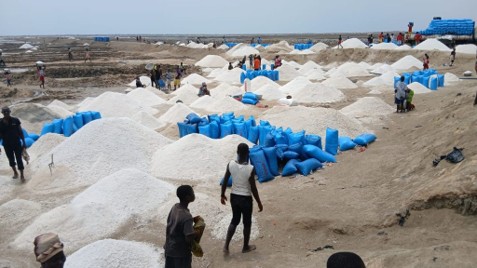 Ghana Salt Industry Faces Collapse, 5,000 Jobs Lost Amid High Taxes