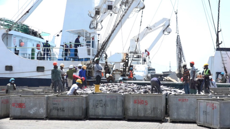 Ghana's Tuna Industry Faces Crisis as 20 Hook-and-Line Vessels Collapse