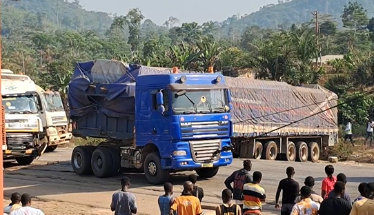 MP calls for new law to fine illegally parked trucks