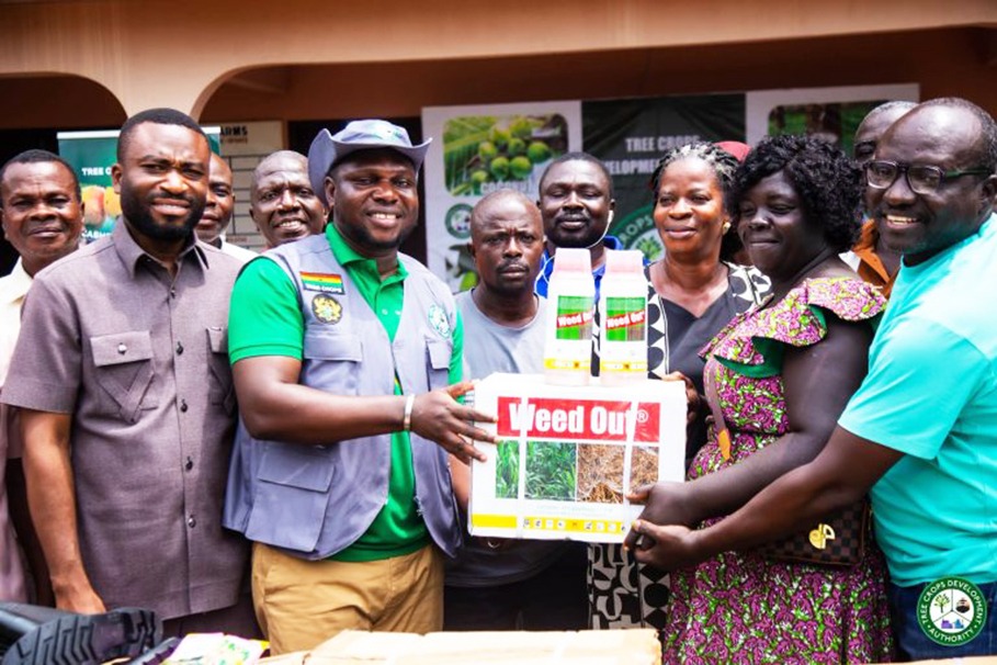 TCDA distributes 60,000 rubber seedlings to 135 farmers