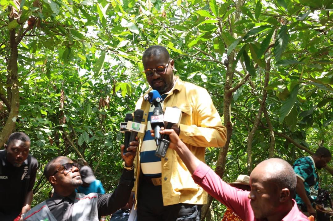Would President Mahama have reduced cocoa prices if this were an election year? – Annoh Dompreh asks